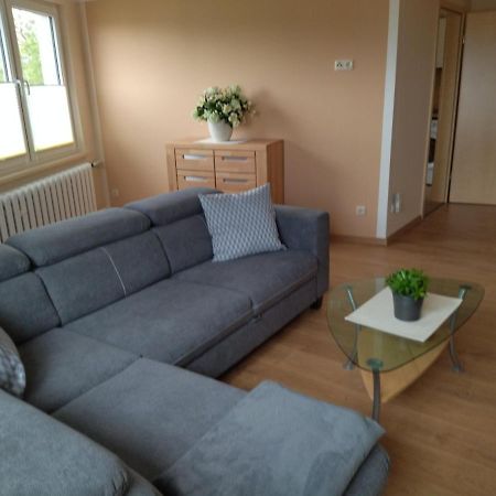Ferienwohnung Kreuzgasse Бад-Франкенгаузен Екстер'єр фото